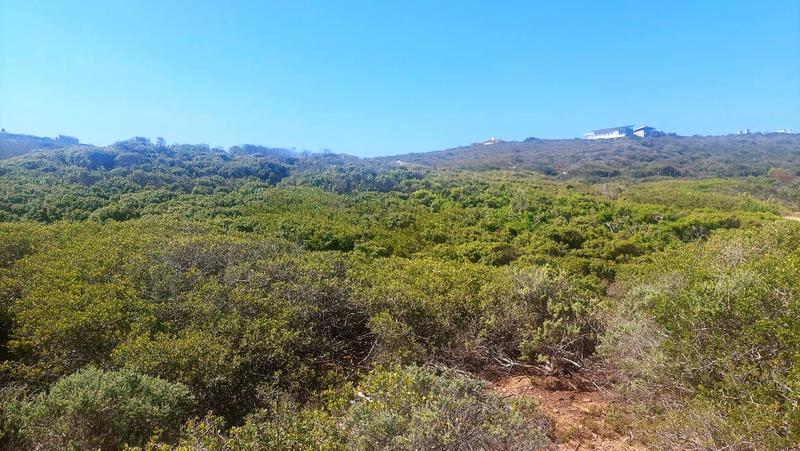 0 Bedroom Property for Sale in Dana Bay Western Cape